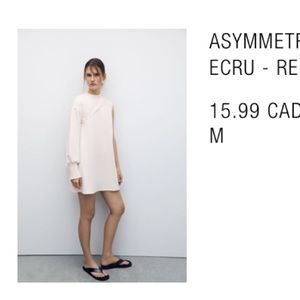 Zara Asymmetrical Crop Top